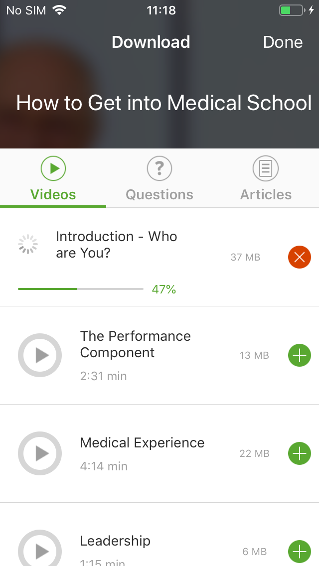 iOS app download interface